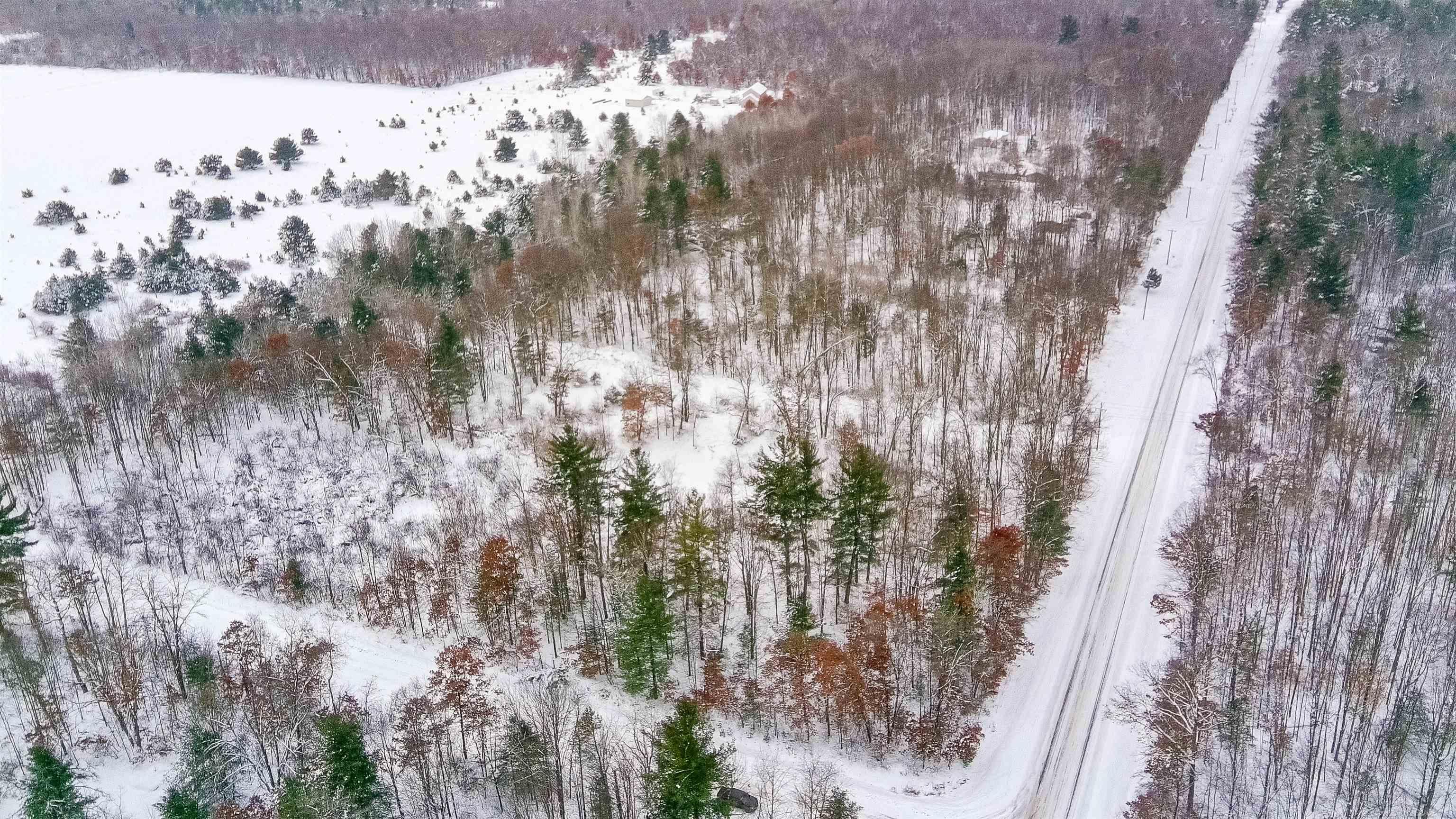 0 North Dagget Road Howard City, MI 49329 - Photo 5 of 25