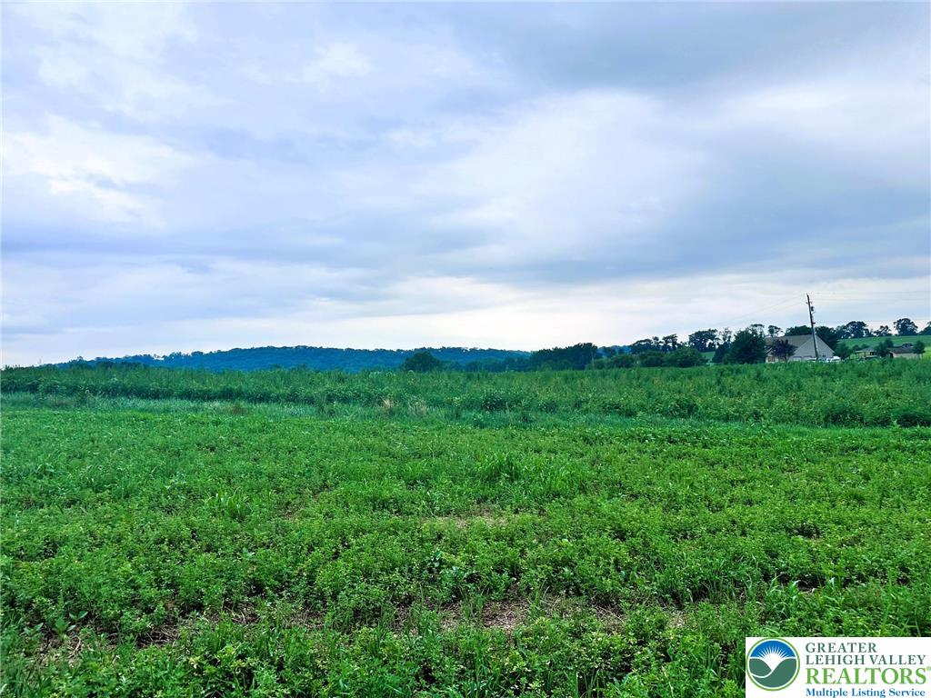 66 Long Road Lenhartsville, PA 19534 - Photo 3 of 3 a view of a bunch of trees in a field