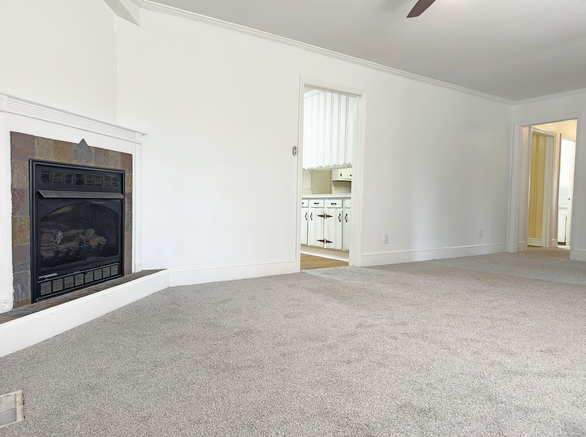 714 Wren Street Sumter, SC 29150 - Photo 3 of 24
