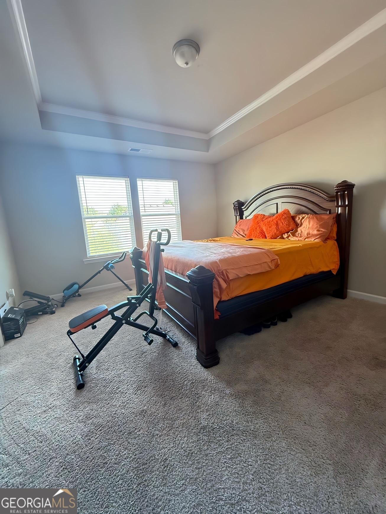 204 Vineyard Ridge Drive Griffin, GA 30223 - Photo 11 of 18