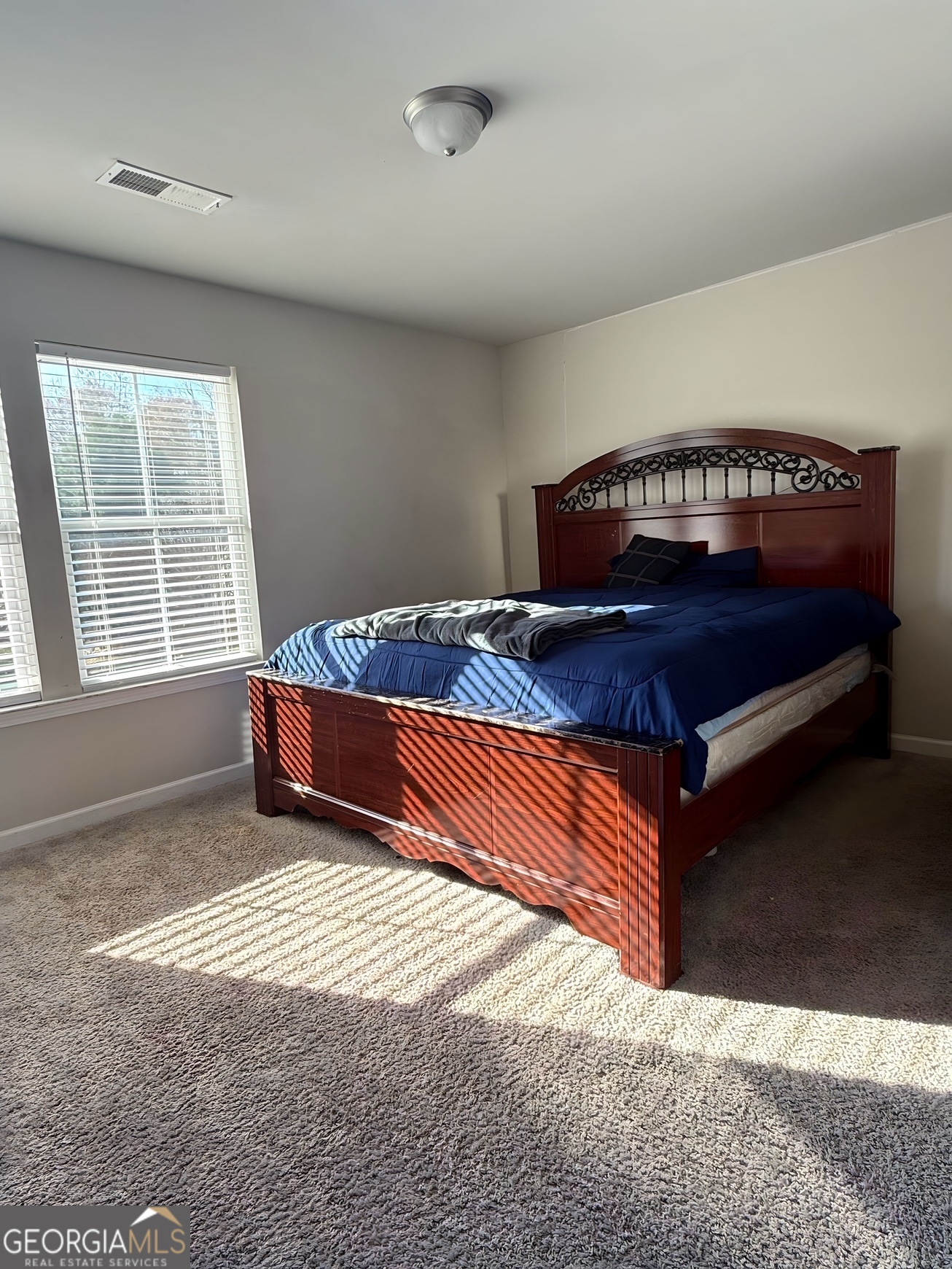 204 Vineyard Ridge Drive Griffin, GA 30223 - Photo 15 of 18