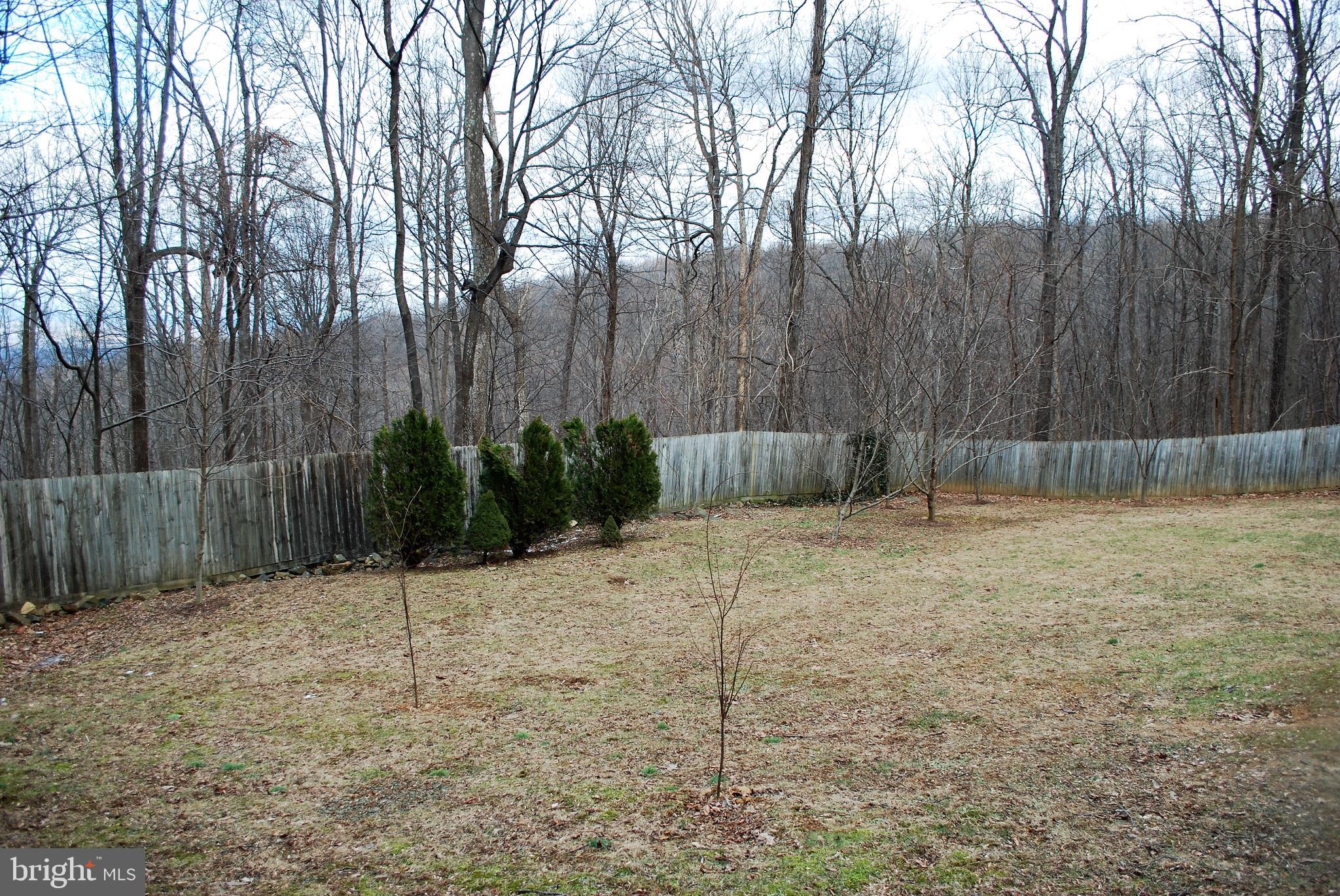 731 Old Linden Road Linden, VA 22642 - Photo 32 of 44 Gallery Image 32
