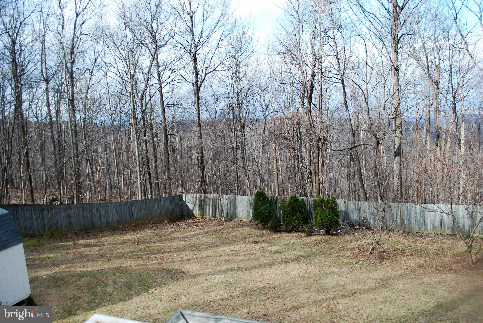 731 Old Linden Road Linden, VA 22642 - Photo 33 of 44 Gallery Image 33