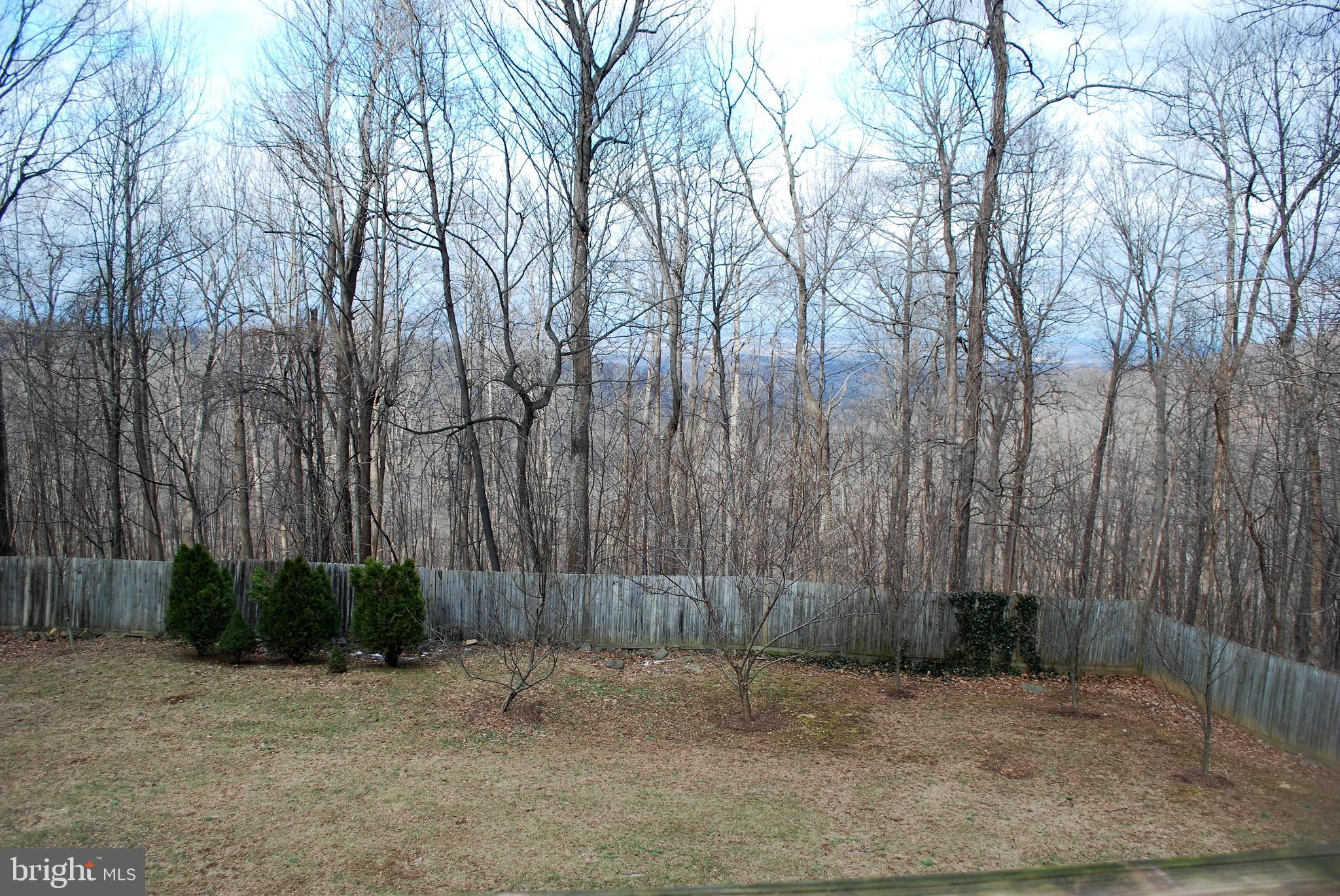 731 Old Linden Road Linden, VA 22642 - Photo 34 of 44 Gallery Image 34