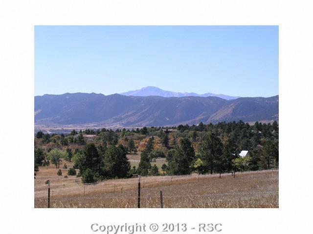 2595 Bricker Road Monument, CO 80132 - Photo 3 of 7