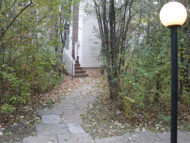 250 West Treehouse Lane Round Lake, IL 60073 - Photo 2 of 11
