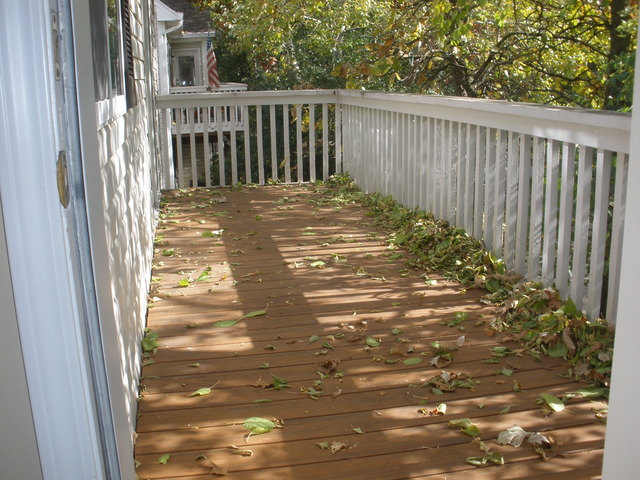 250 West Treehouse Lane Round Lake, IL 60073 - Photo 3 of 11