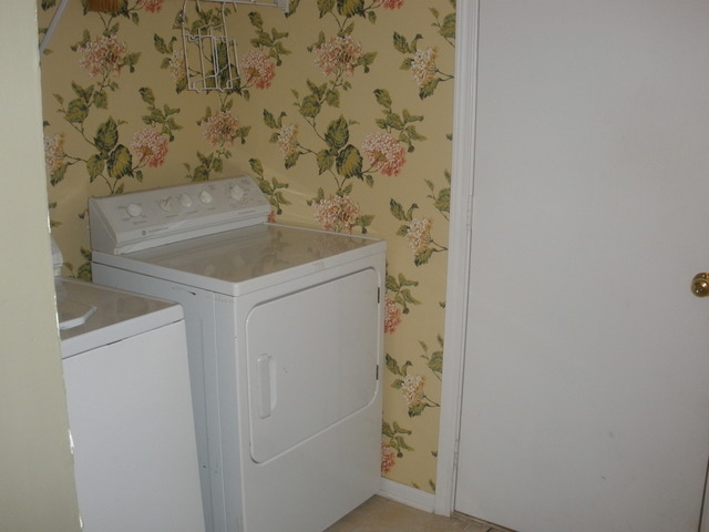 250 West Treehouse Lane Round Lake, IL 60073 - Photo 4 of 11