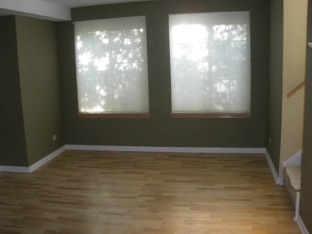 250 West Treehouse Lane Round Lake, IL 60073 - Photo 6 of 11