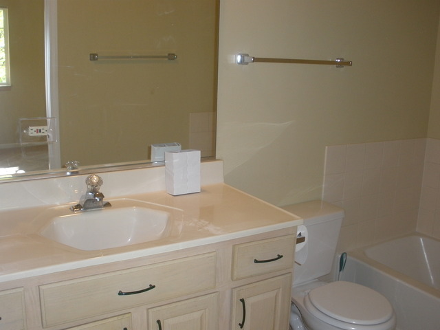 250 West Treehouse Lane Round Lake, IL 60073 - Photo 8 of 11