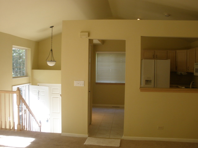 250 West Treehouse Lane Round Lake, IL 60073 - Photo 9 of 11