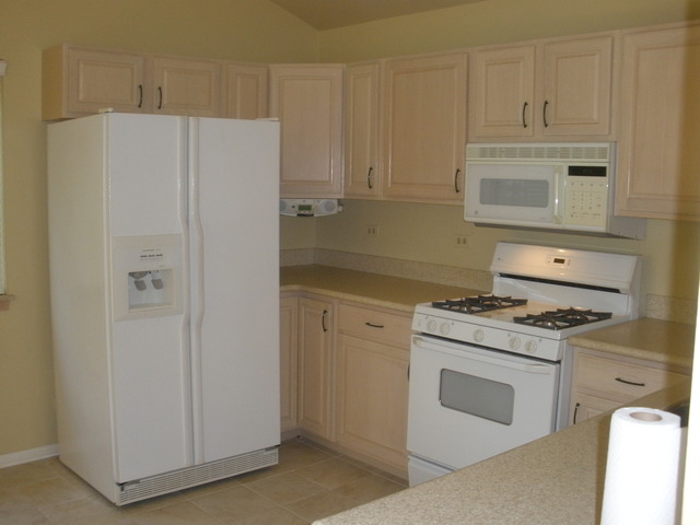 250 West Treehouse Lane Round Lake, IL 60073 - Photo 10 of 11