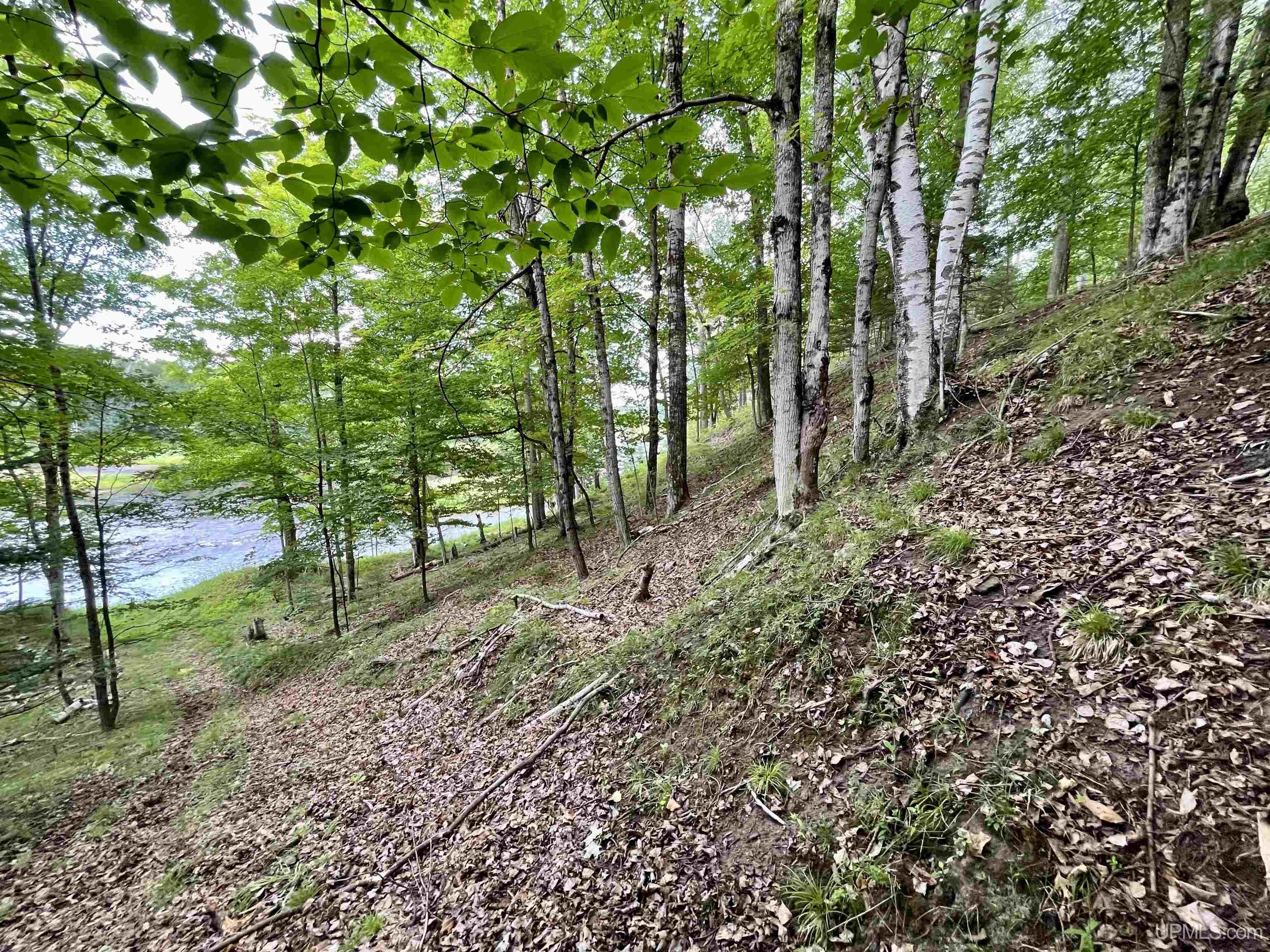 23.5 Rd Gladstone Mi 49837 Road Gladstone, MI 49837 - Photo 31 of 45