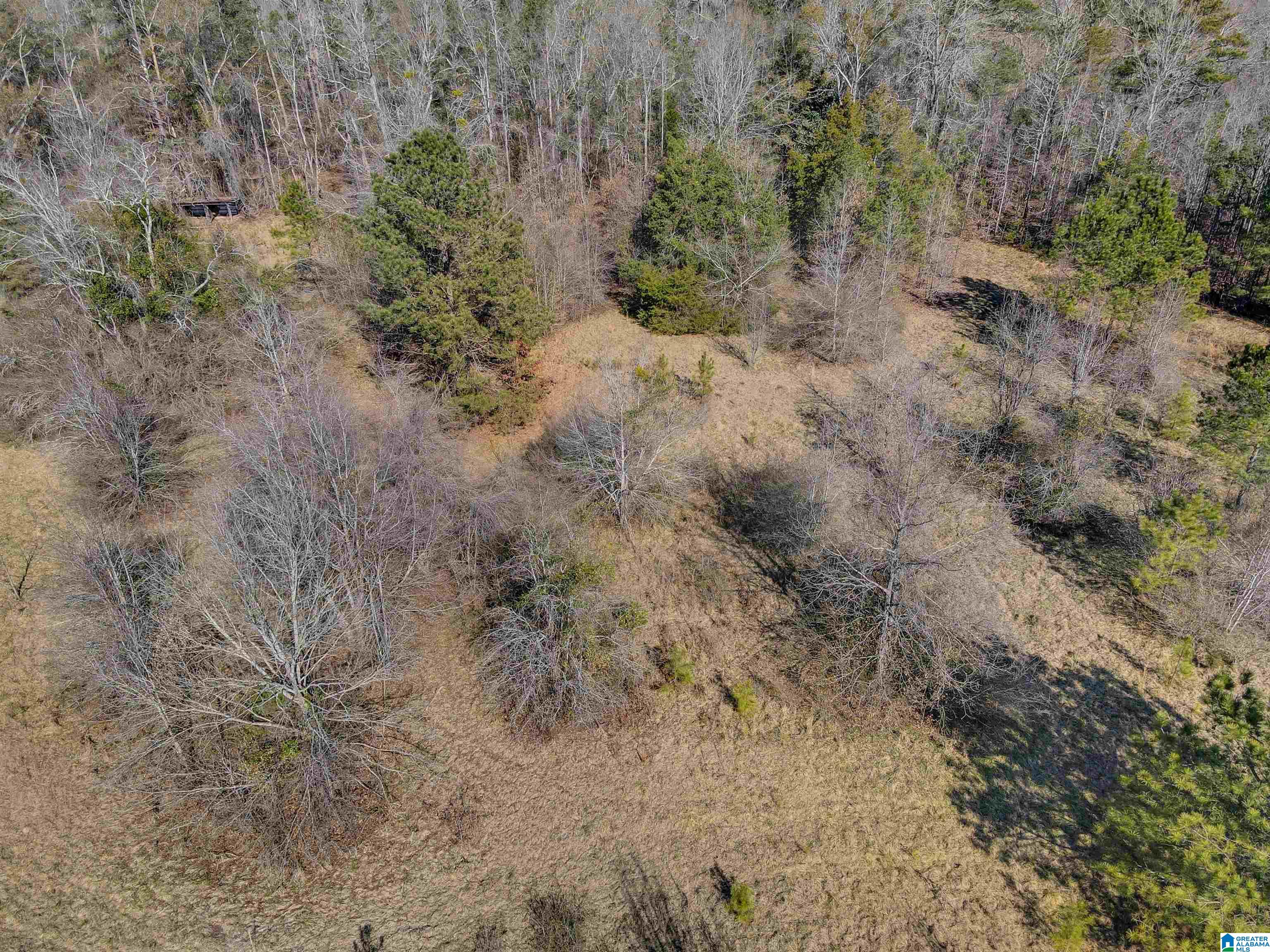 807 Yellow Leaf Road, Unit 1 Clanton, AL 35045 - Photo 11 of 18