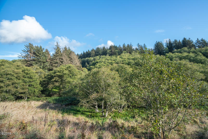 6005 Rowan Road Neskowin, OR 97149 - Photo 3 of 12 View of valley from upper meadow