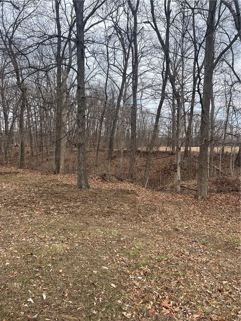13031 East 225th Road Paris, IL 61944 - Photo 20 of 24