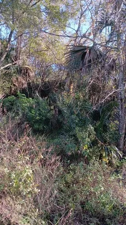 $16,000 | Avenue O Ormond Beach, Ormond Beach, FL 32174