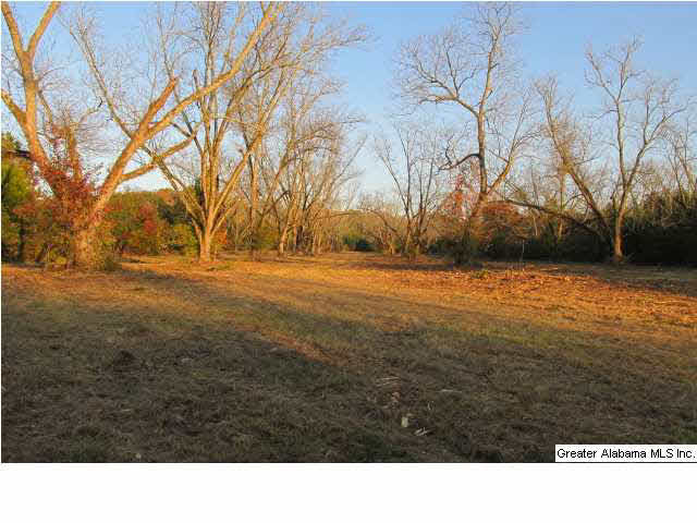 392 4 Mile Church Road, Unit 40 AC Anniston, AL 36206 - Photo 4 of 12