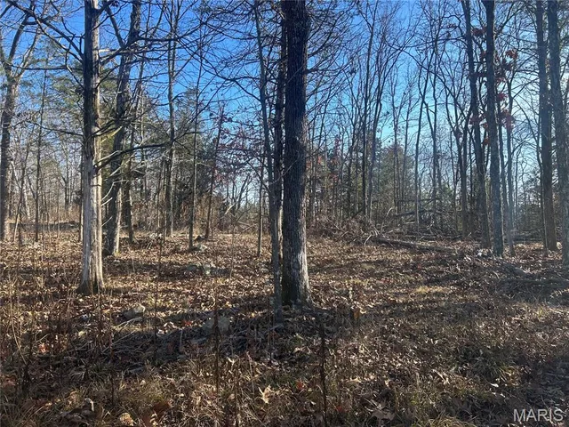 $76,995 | 301 Madison Street, Fredericktown, MO 63645