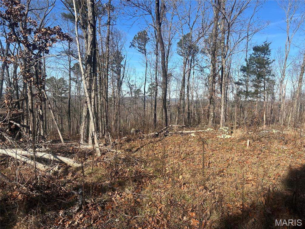 301 Madison Street Fredericktown, MO 63645 - Photo 2 of 24