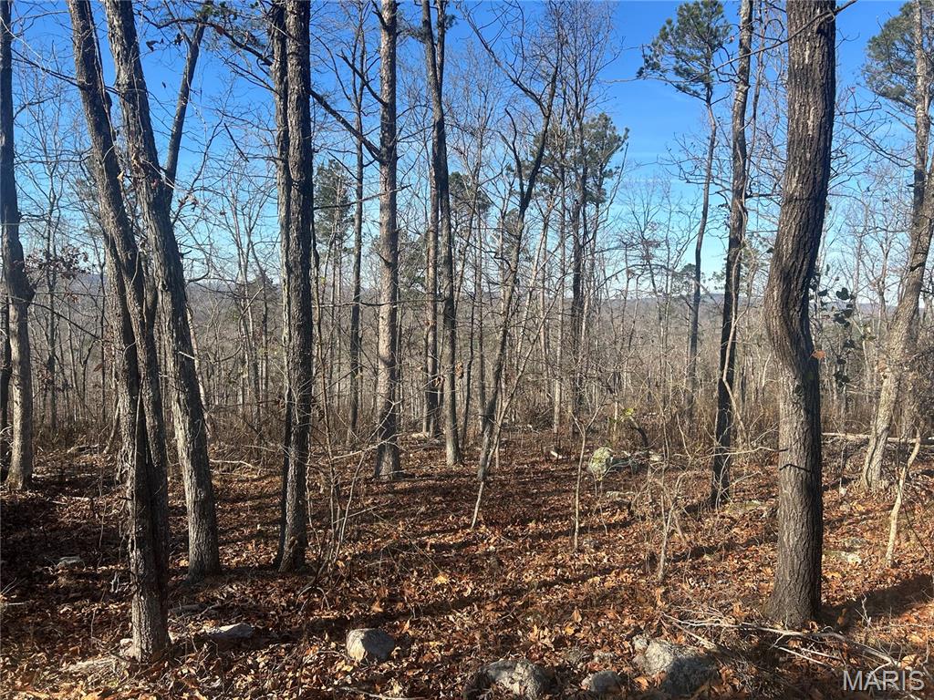 301 Madison Street Fredericktown, MO 63645 - Photo 3 of 24