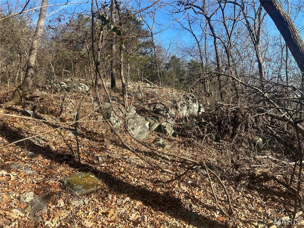 301 Madison Street Fredericktown, MO 63645 - Photo 8 of 24