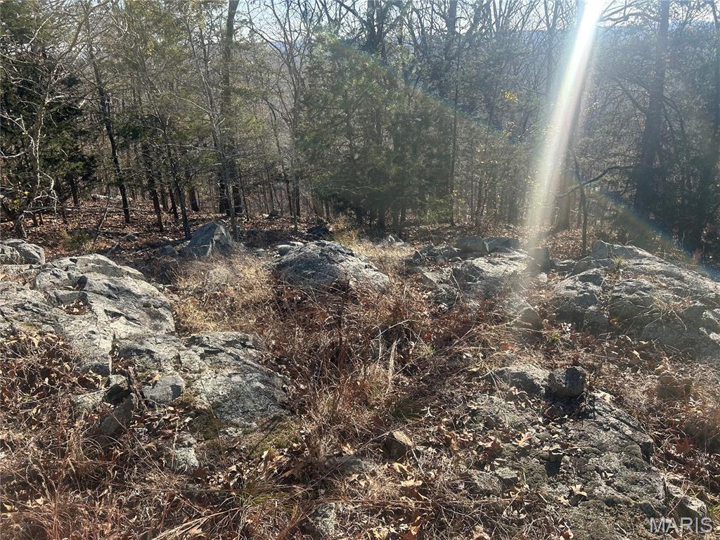 301 Madison Street Fredericktown, MO 63645 - Photo 10 of 24