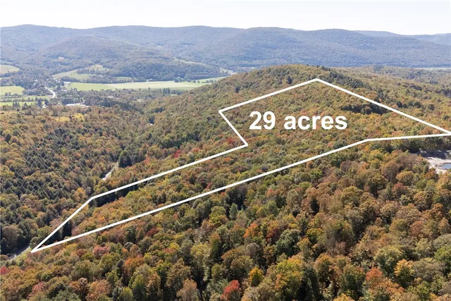 $449,000 | 815 Covert Hollow Road, Hamden, NY 13782