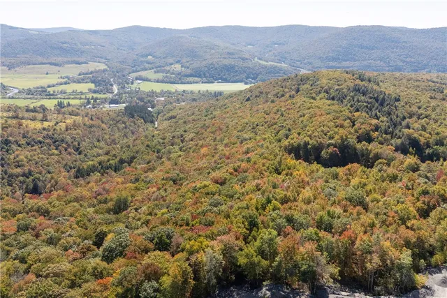 $449,000 | 815 Covert Hollow Road, Hamden, NY 13782