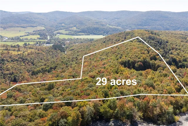 $449,000 | 815 Covert Hollow Road, Hamden, NY 13782