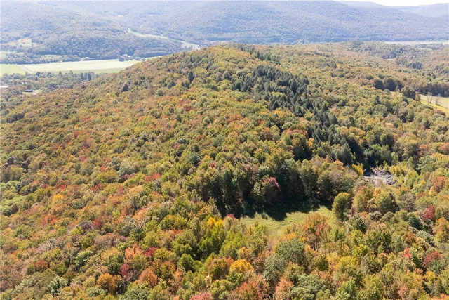 $449,000 | 815 Covert Hollow Road, Hamden, NY 13782