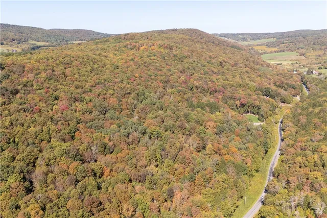 $449,000 | 815 Covert Hollow Road, Hamden, NY 13782