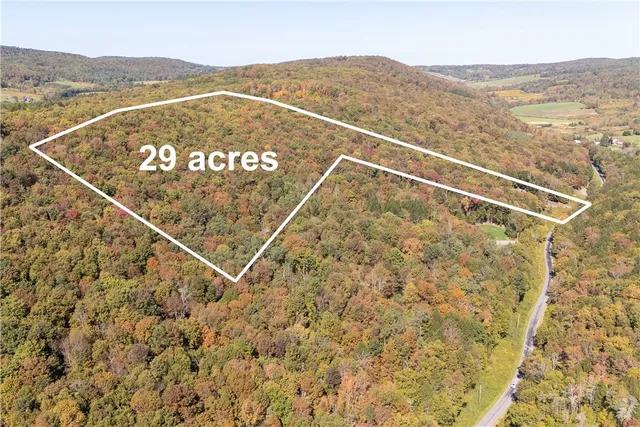 $449,000 | 815 Covert Hollow Road, Hamden, NY 13782