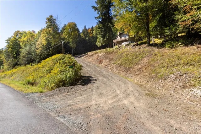 $449,000 | 815 Covert Hollow Road, Hamden, NY 13782