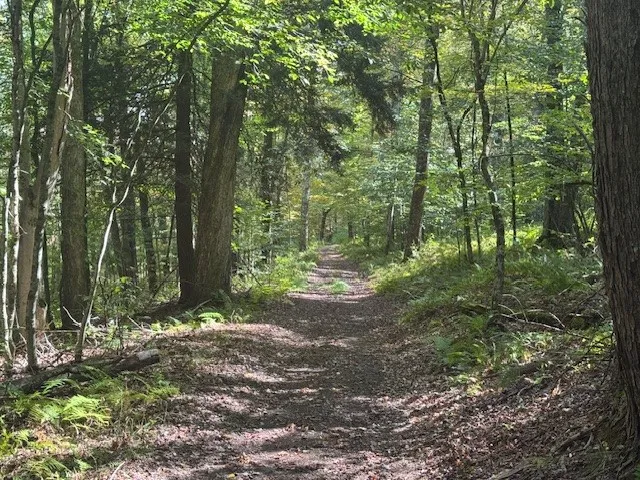 $449,000 | 815 Covert Hollow Road, Hamden, NY 13782