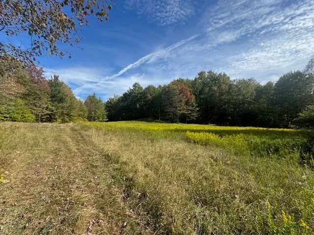 $449,000 | 815 Covert Hollow Road, Hamden, NY 13782