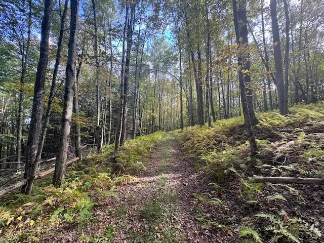 $449,000 | 815 Covert Hollow Road, Hamden, NY 13782