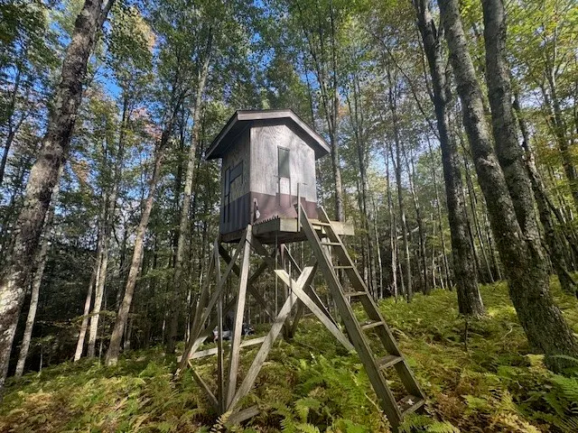 $449,000 | 815 Covert Hollow Road, Hamden, NY 13782