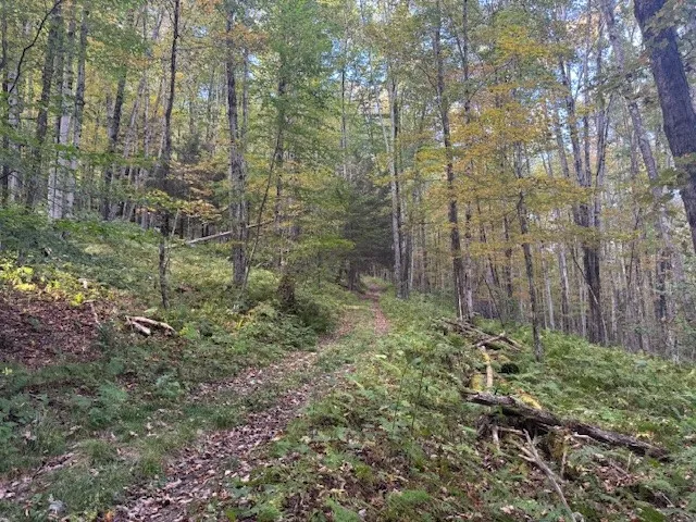 $449,000 | 815 Covert Hollow Road, Hamden, NY 13782