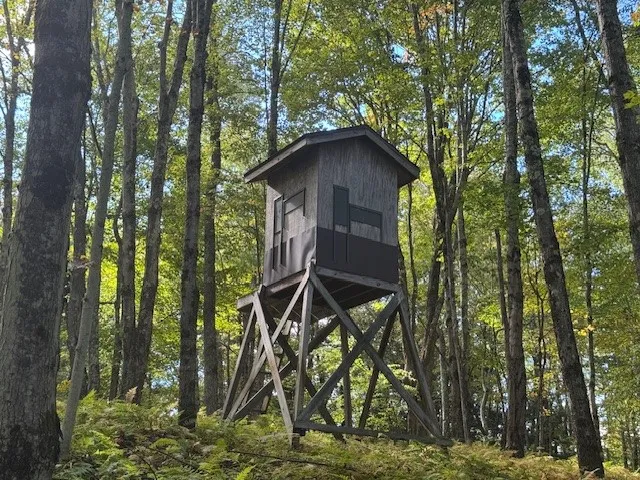 $449,000 | 815 Covert Hollow Road, Hamden, NY 13782