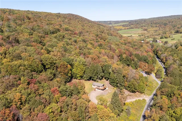 $449,000 | 815 Covert Hollow Road, Hamden, NY 13782