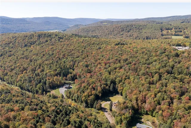 $449,000 | 815 Covert Hollow Road, Hamden, NY 13782