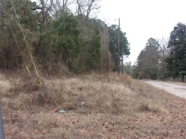 a view of a dry yard with trees