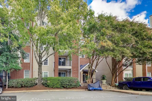 a tree in front of a white house
