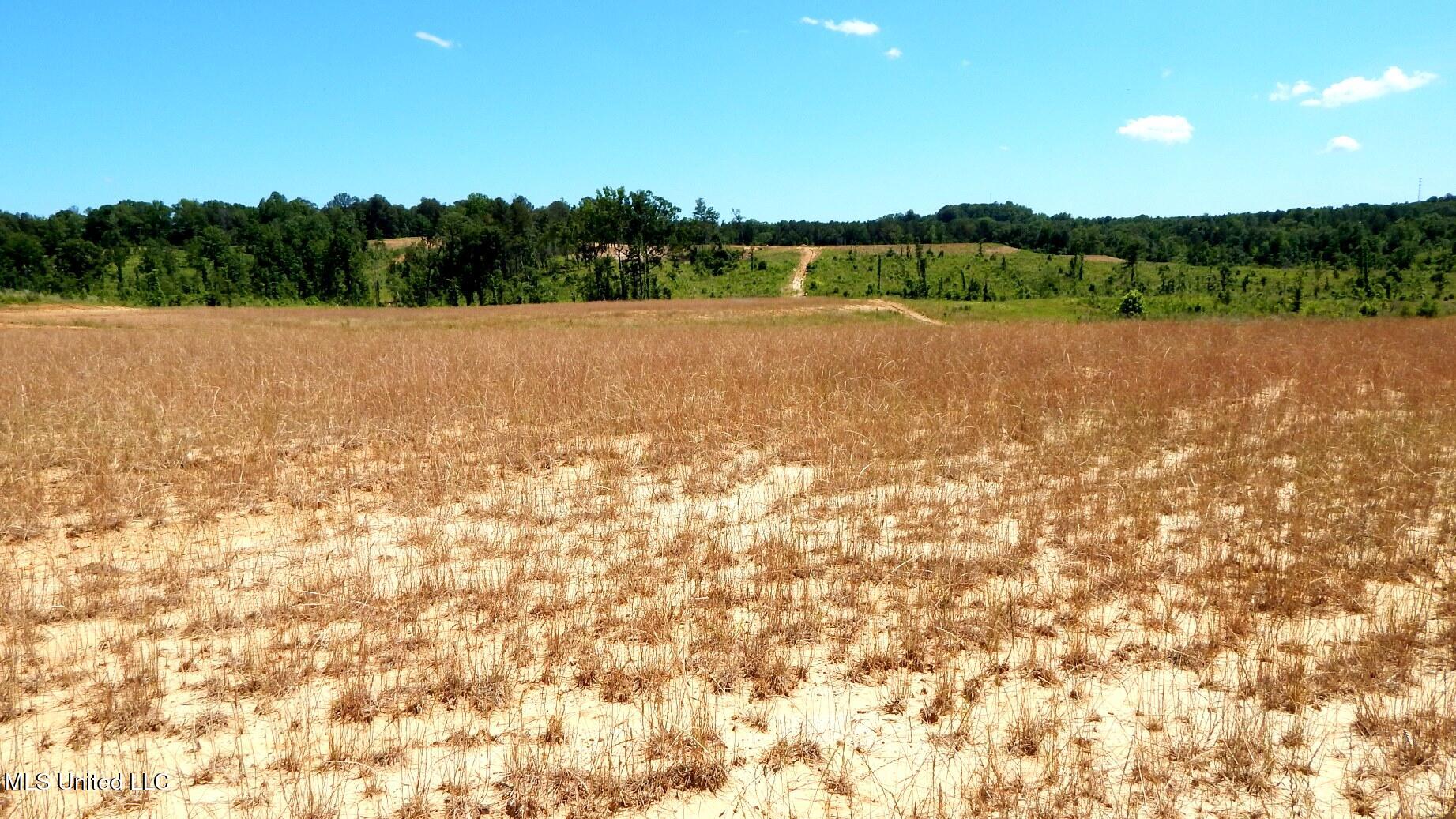 210 Hugh White State Pk Road Grenada, MS 38901 - Photo 1 of 15 DSCN6936