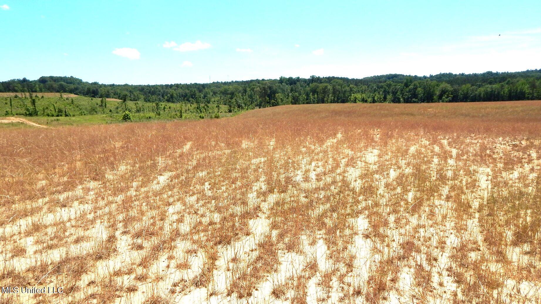 210 Hugh White State Pk Road Grenada, MS 38901 - Photo 2 of 15 DSCN6937
