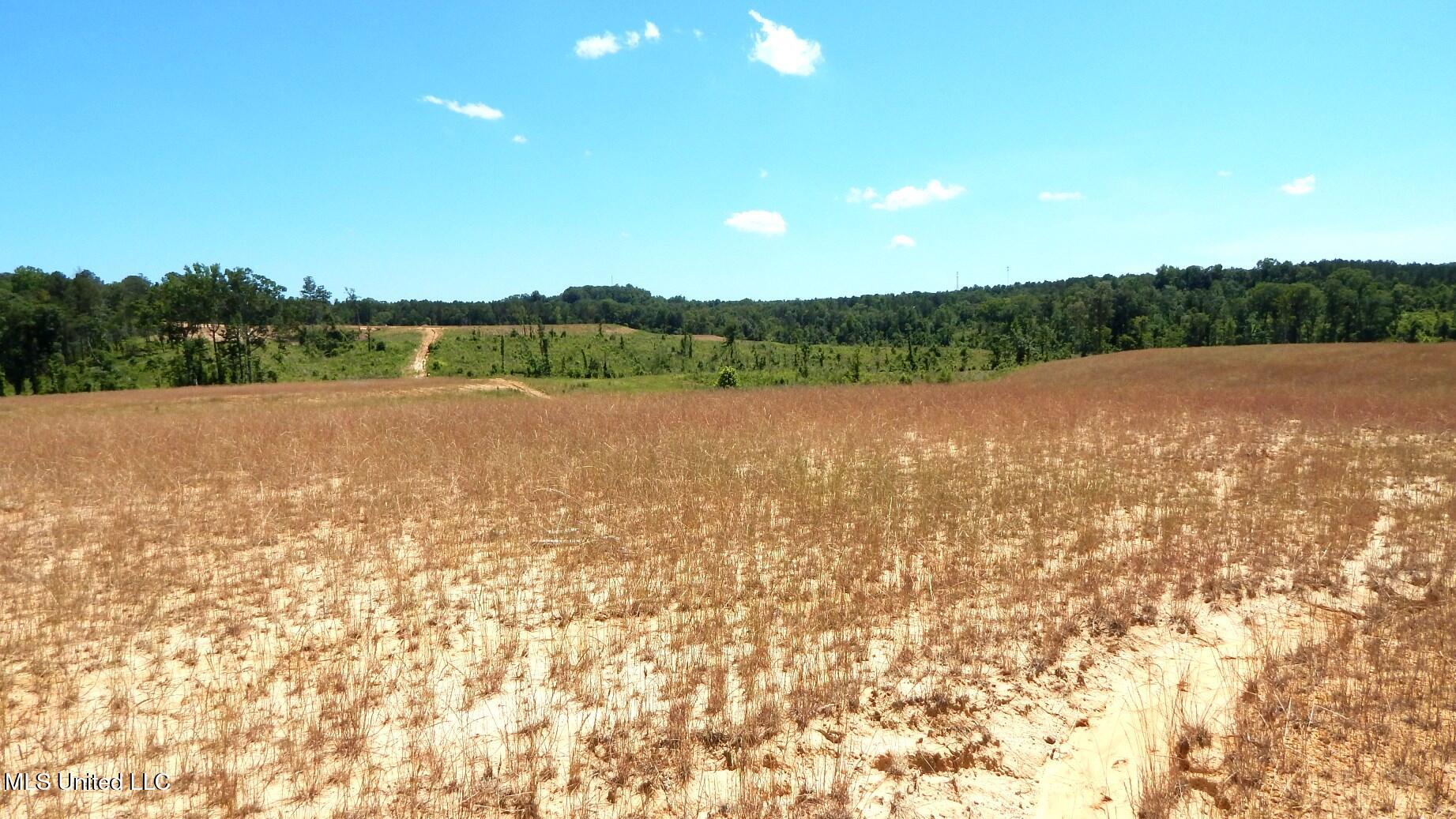 210 Hugh White State Pk Road Grenada, MS 38901 - Photo 4 of 15 DSCN6935