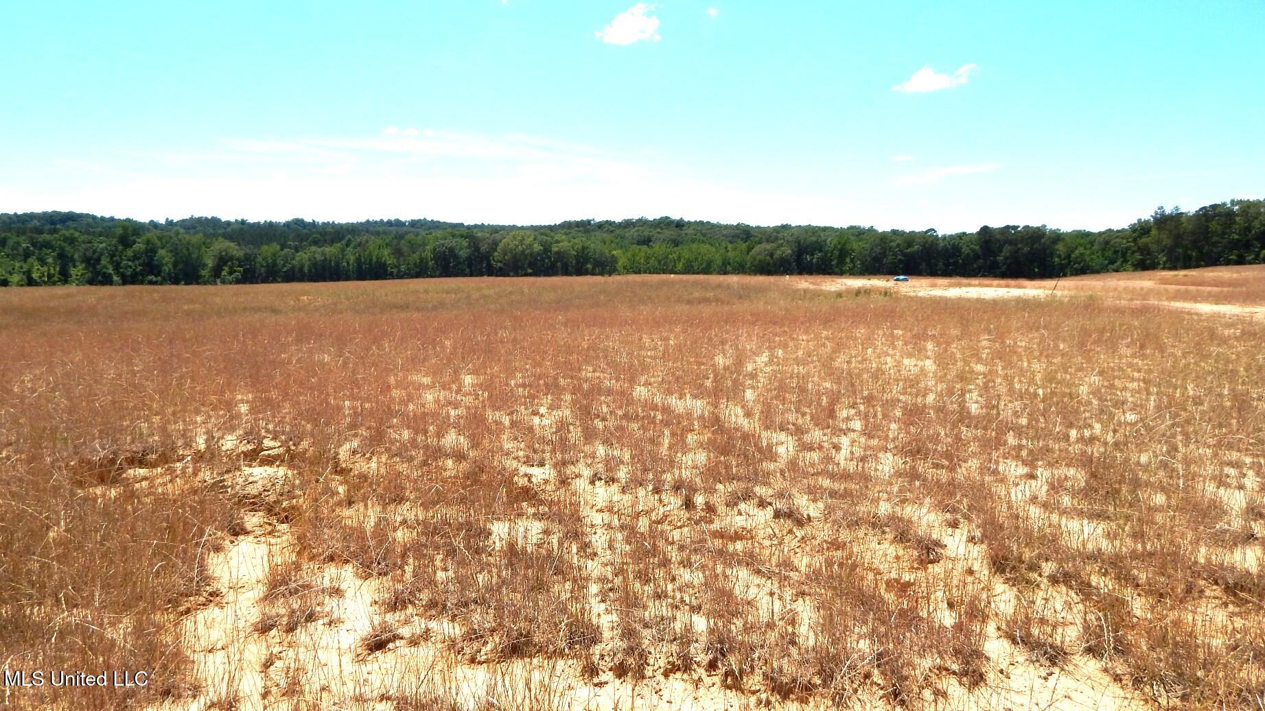 210 Hugh White State Pk Road Grenada, MS 38901 - Photo 5 of 15 DSCN6938