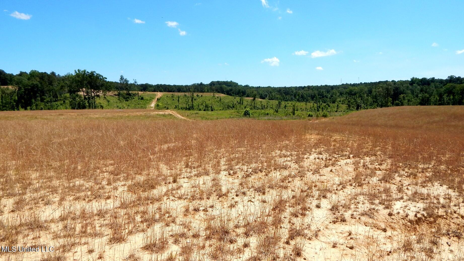 210 Hugh White State Pk Road Grenada, MS 38901 - Photo 6 of 15 DSCN6939