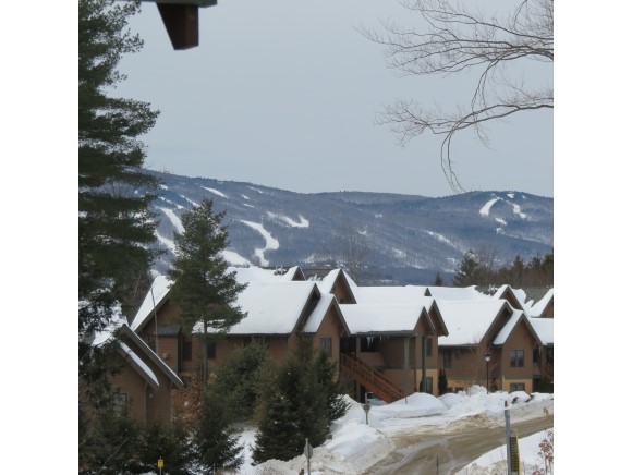 74 Spaulding Road, Unit UI4 Cavendish, VT 05153 - Photo 1 of 36